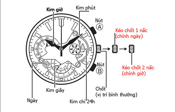 Hướng dẫn cách sửa kim đồng hồ đeo tay