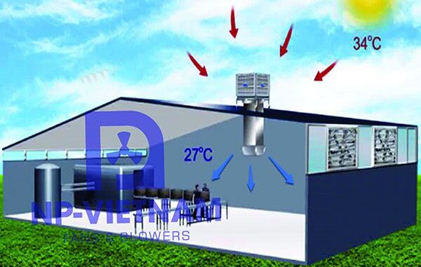nguyen-ly-hoat-dong-may-lam-mat-cong-nghiep Kết hợp hệ thống thông gió tự nhiên và cưỡng bức