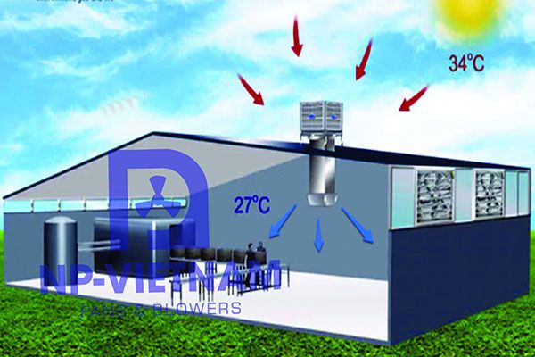 Kết hợp hệ thống thông gió tự nhiên và cưỡng bức