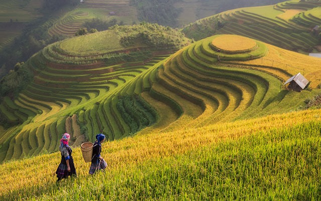 Things to Know Before Going to Vietnam in 2025