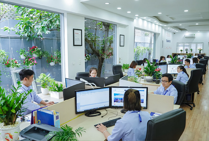 Vai trò của công ty dịch vụ kế toán