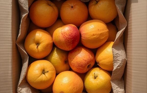 dong-goi-trai-cay-tuoi-1