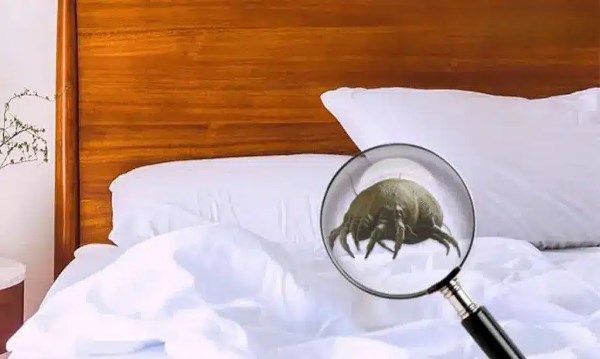 khu-mui-khai-nuoc-tieu-3