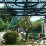 Nâng tầm kiến trúc hiện đại với mái che nghệ thuật Polycarbonate