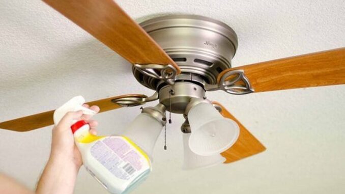 Hướng dẫn cách vệ sinh quạt trần an toàn hiệu quả