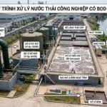 Cách xử lý nước thải công nghiệp có BOD cao